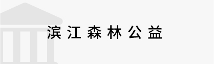 數(shù)字政務(wù)&政法