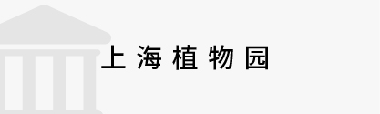 數(shù)字政務(wù)&政法